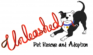 Pet Rescue,pet rescue near me,pet rescue saga,unleashed pet rescue,pet rescue by judy