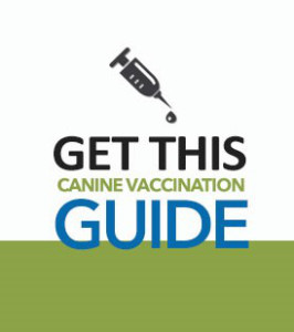 Vaccination Guide