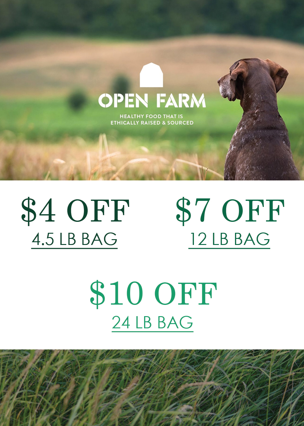 SPECIAL: Open Farm Dog Food - 4paws