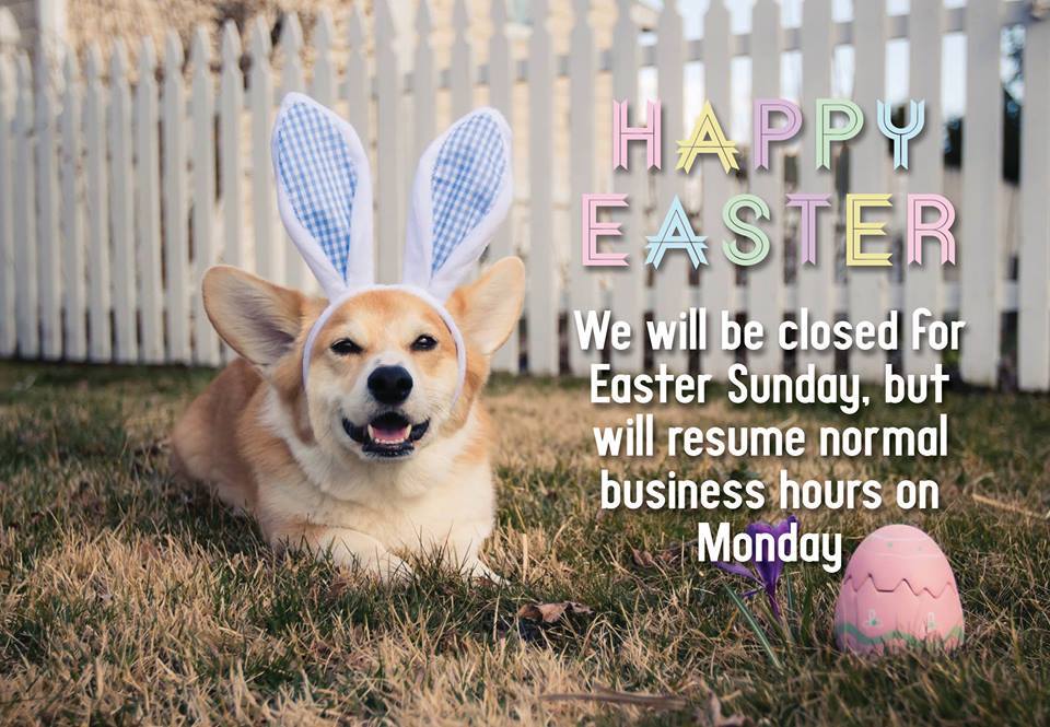 Closed on Easter Sunday - 4paws