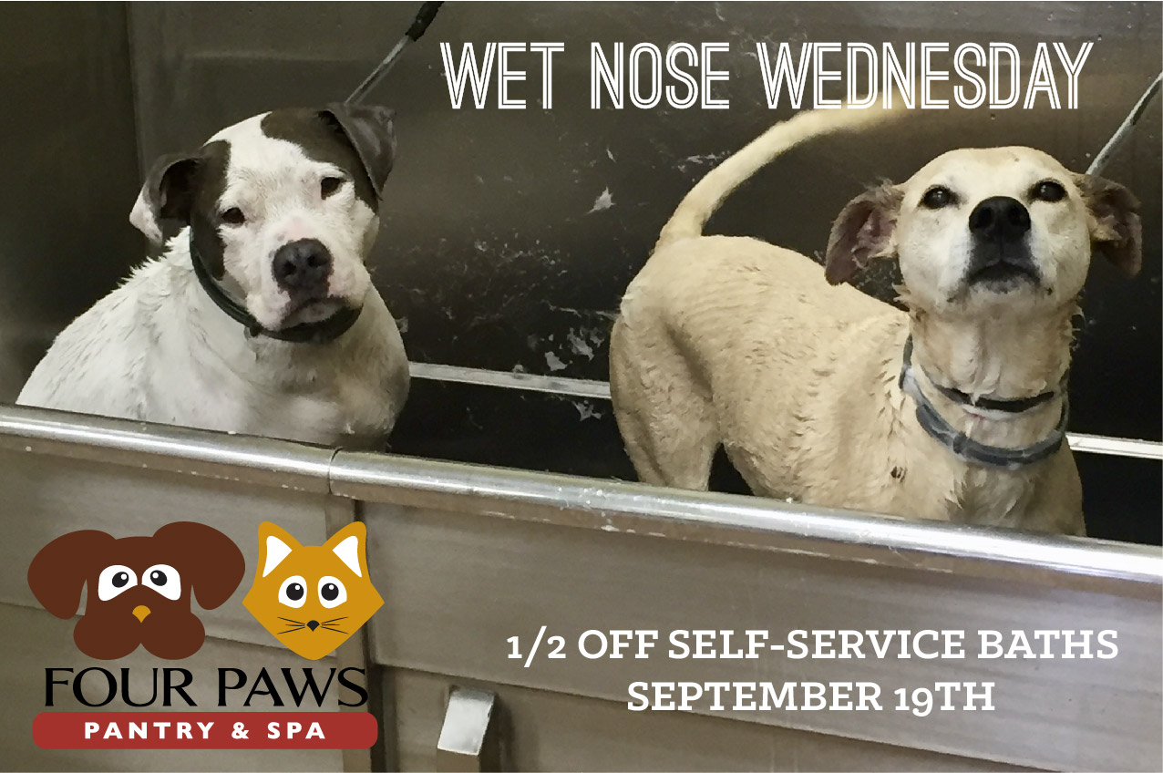 Wet Nose Wednesday 4paws