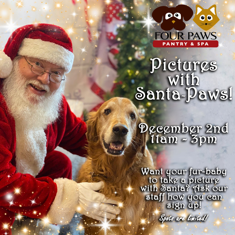 santa pictures at 4 paws pantry & spa 