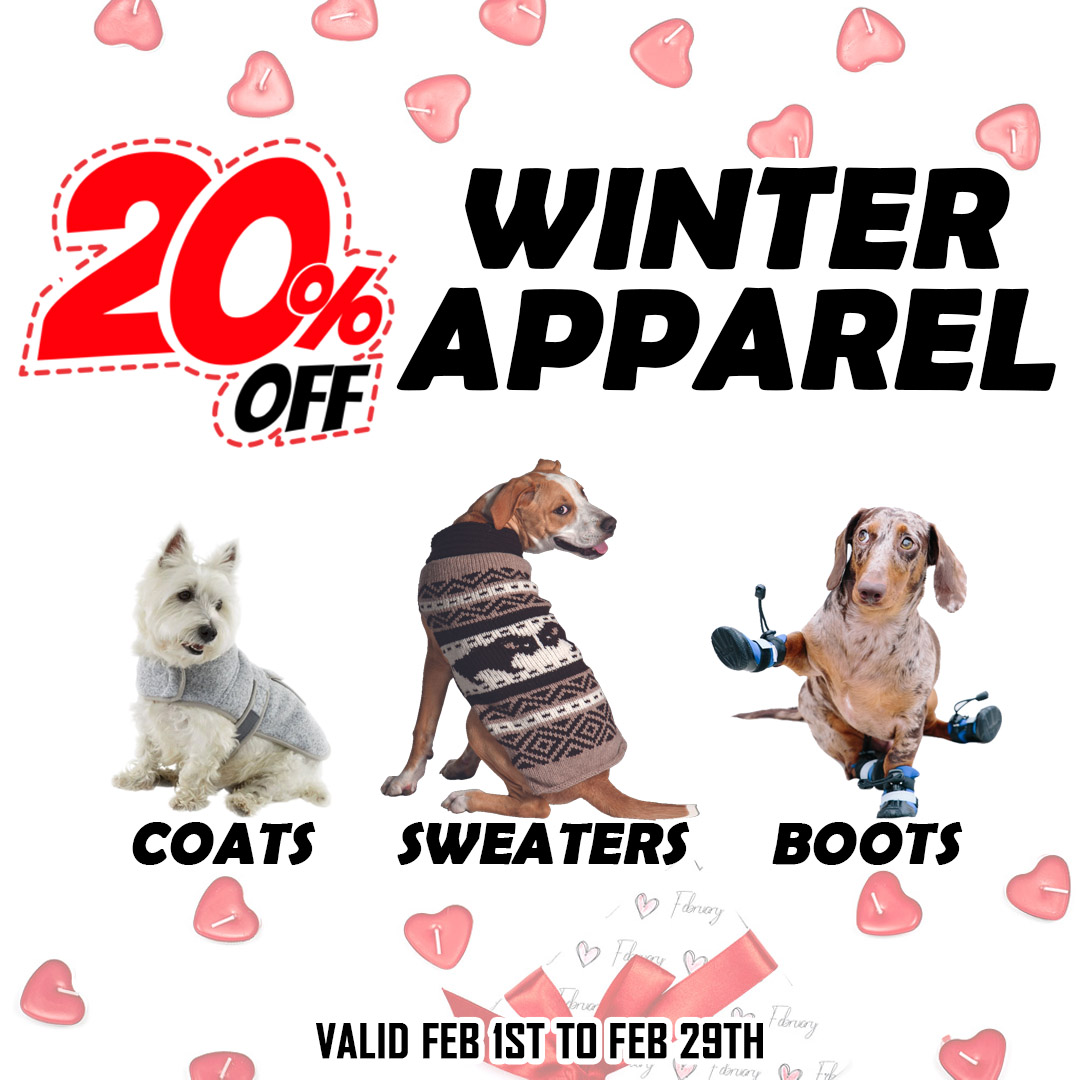 winter apparel on sale feb 2024 boots coats sweaters in store