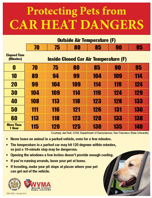 Dangerous heat in cars